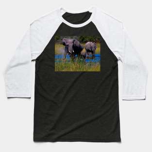 Splashing through the Water Baseball T-Shirt